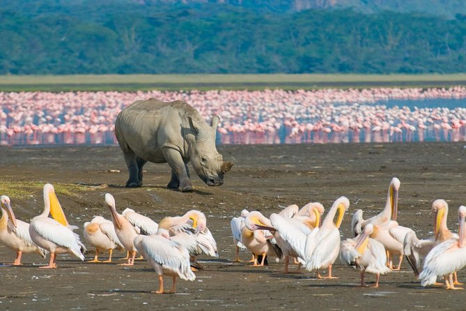 lake nakuru national paek 1