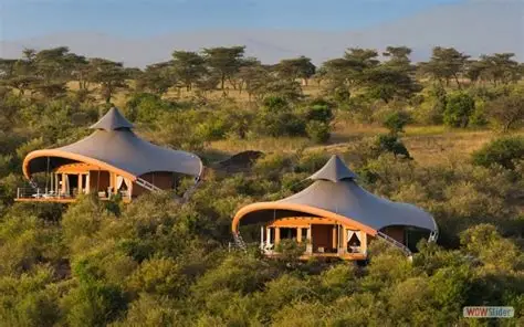 masai mara
